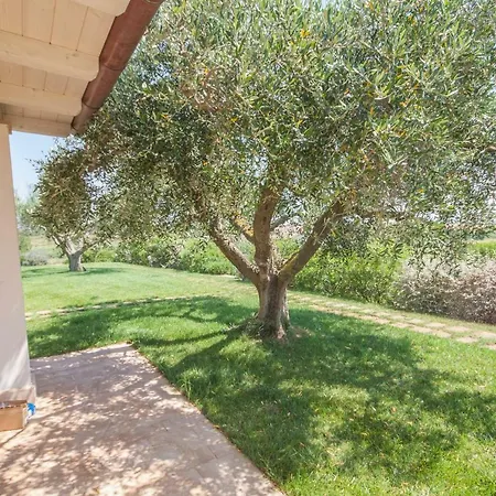 Il Mirto * Pescia Romana